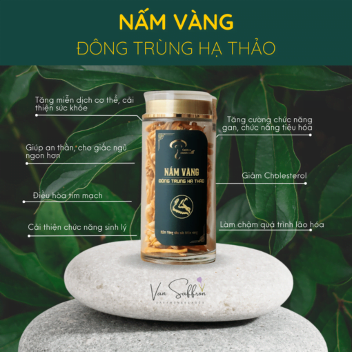 nấm đông trùng