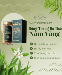 nấm đông trùng