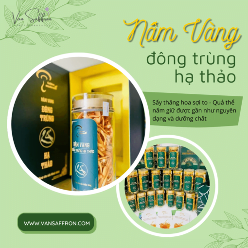 nấm đông trùng